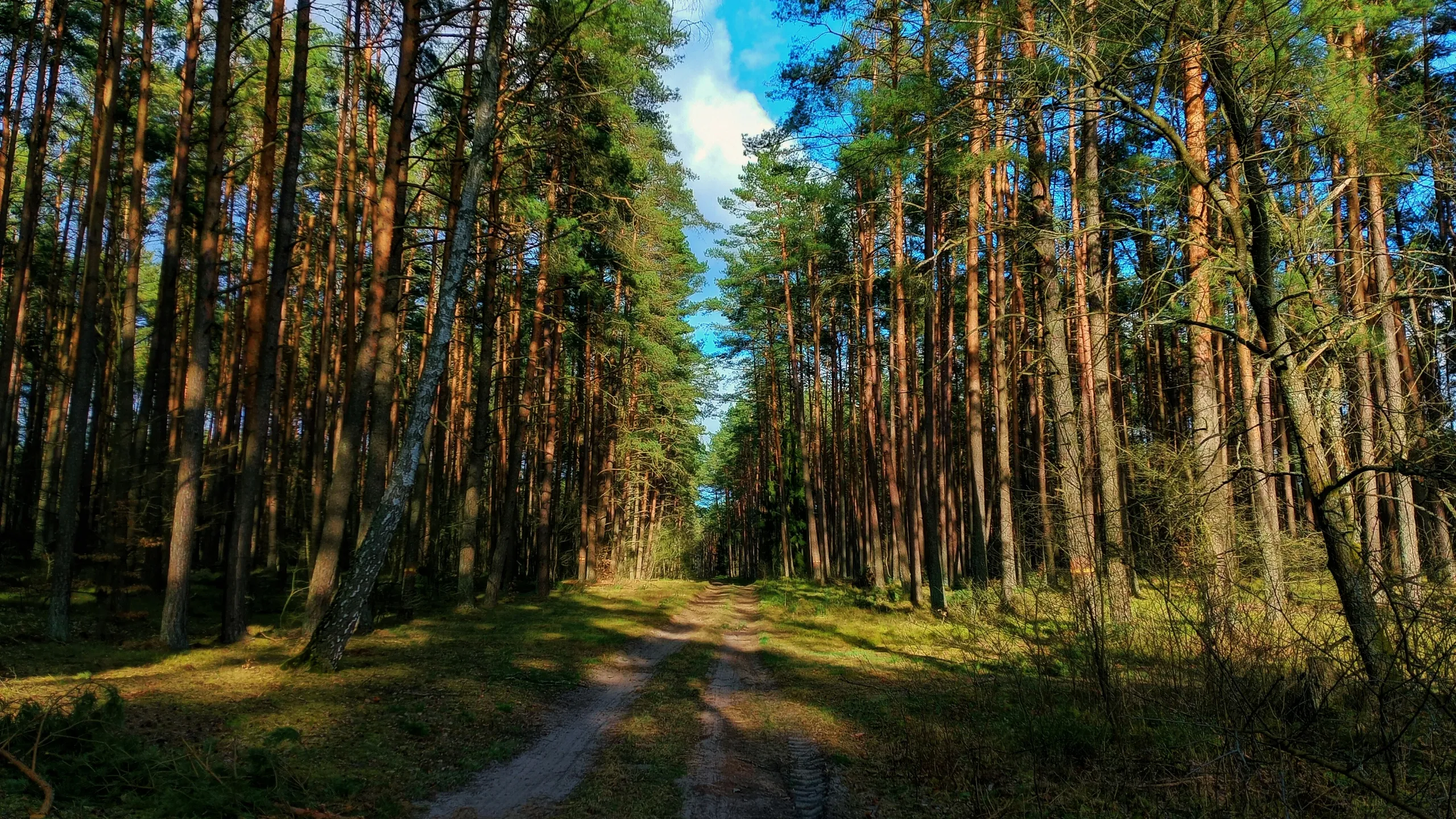 Ragnar Trail Wisconsin