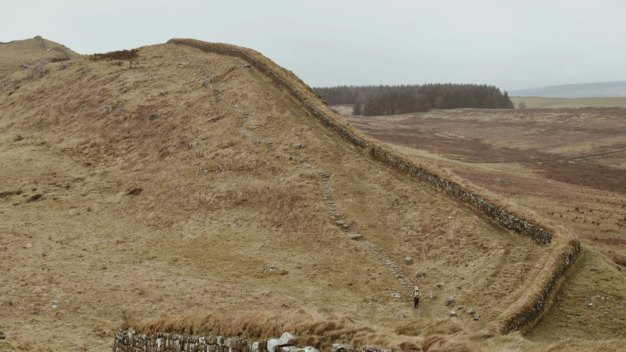 Dark Skies Run @ Kielder