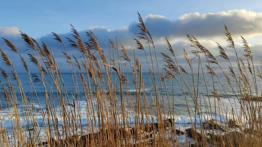 Devon Coast to Coast Ultra Marathon