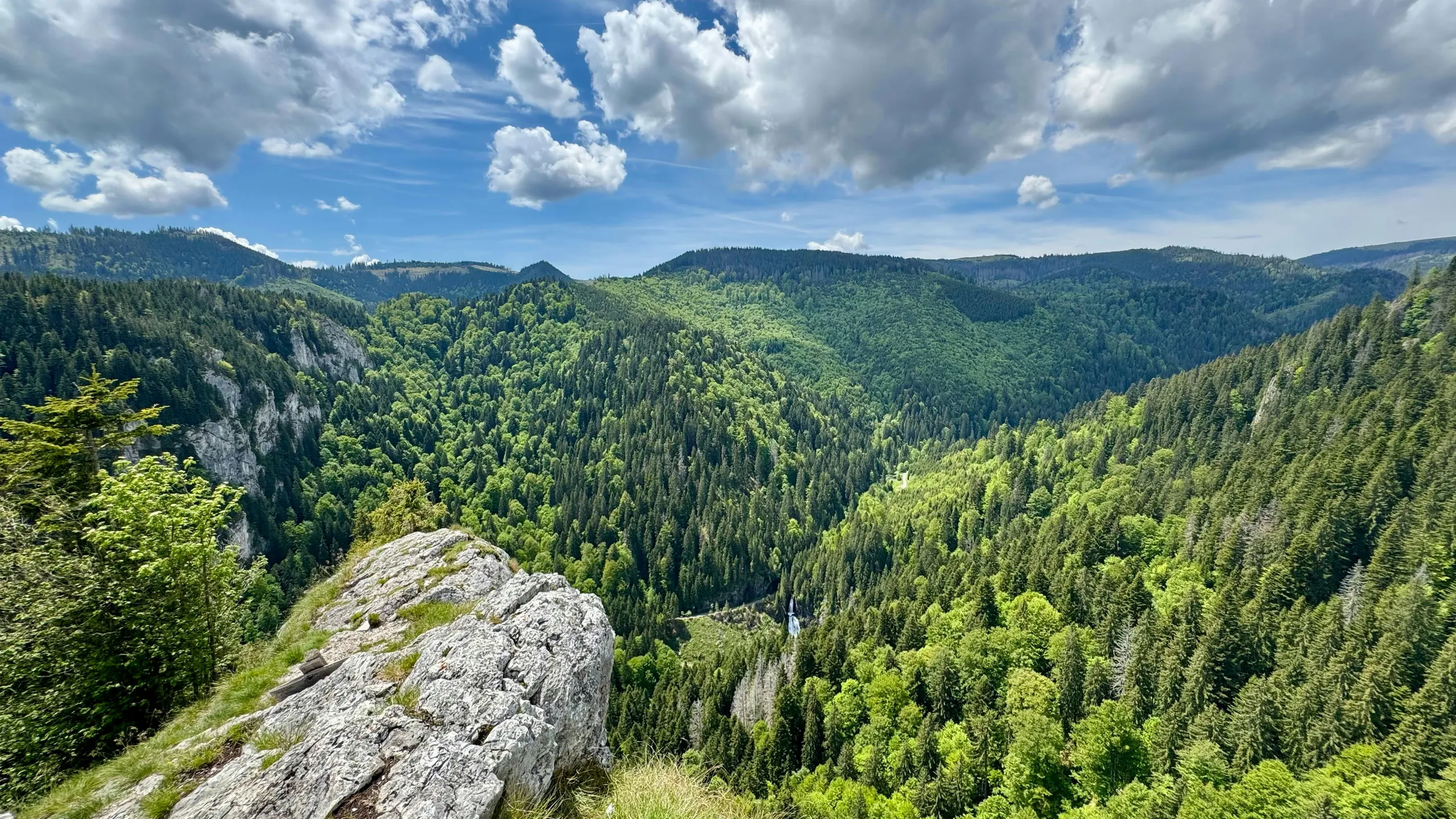 Horský půlmaraton Sušice
