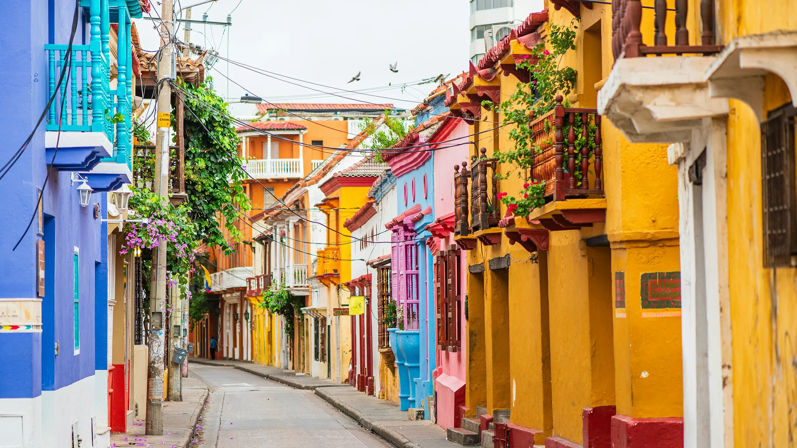 Media Maratón del Mar