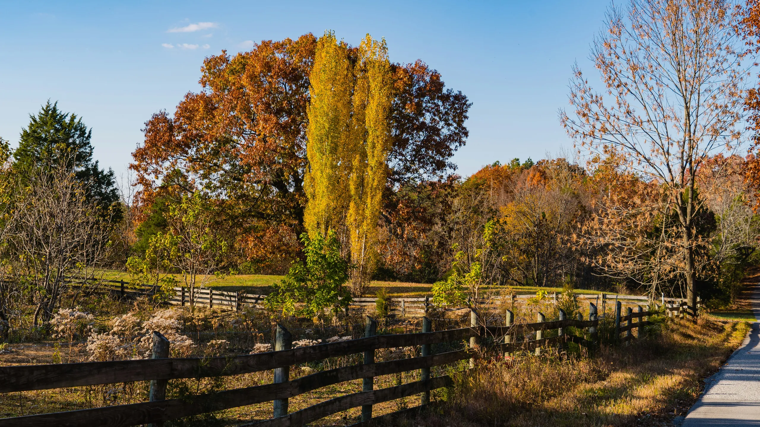 LBL Bridge to Bridge Trail Run