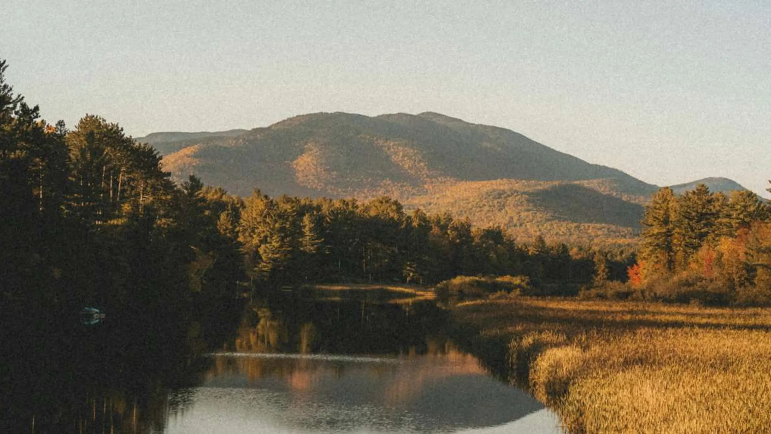 Endure Trail Runs