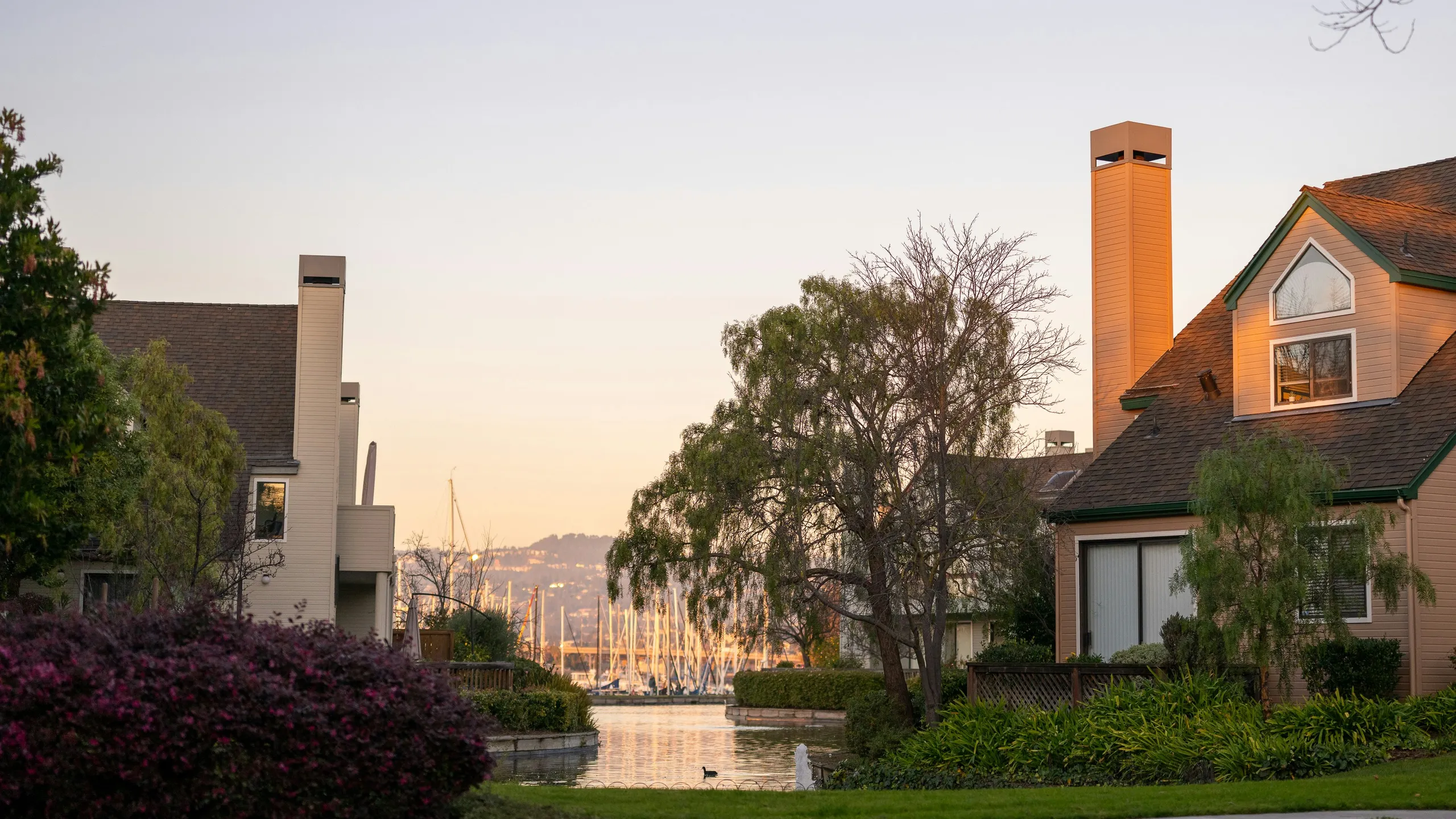 Midway Shelter Winter Run/Walk