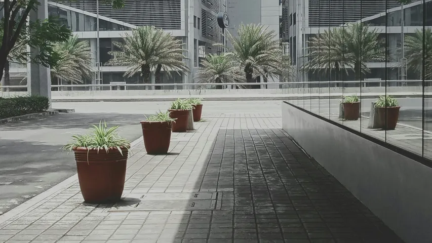 The Bull Runner Dream Marathon 2026