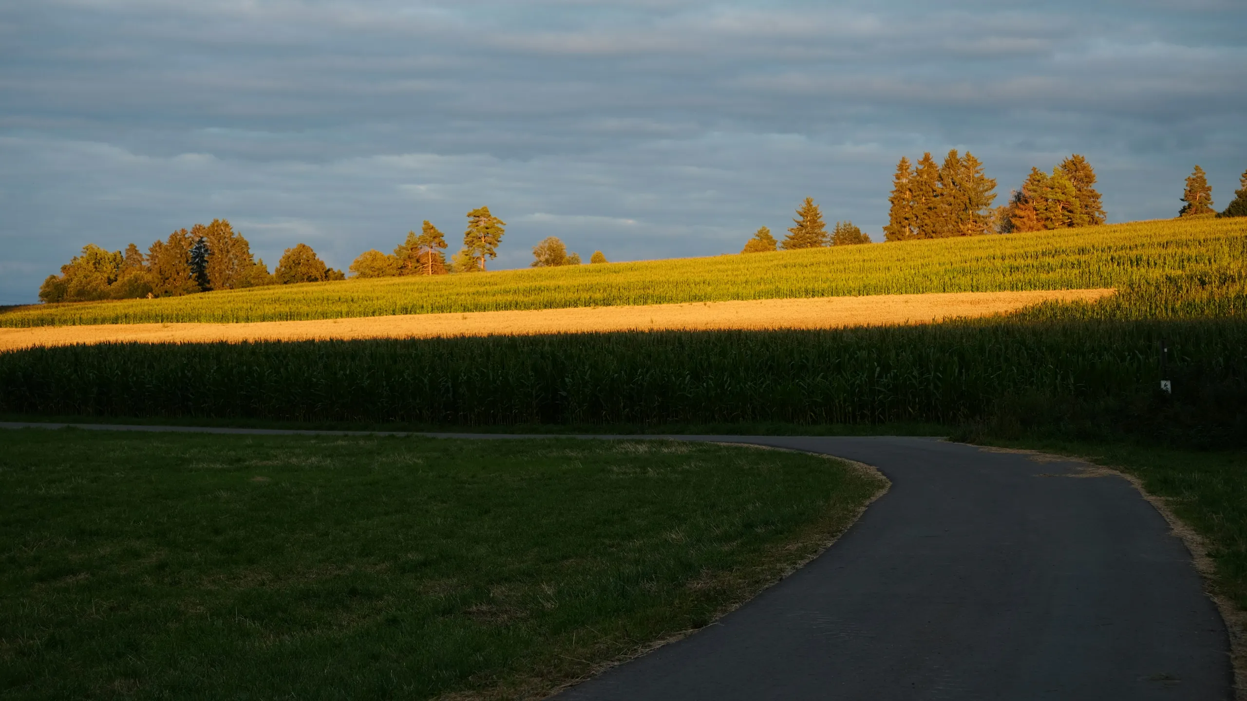 Hiddestorfer Rübenlauf