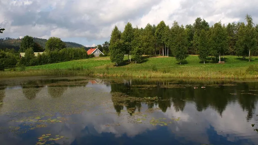 Drammen Halvmaraton