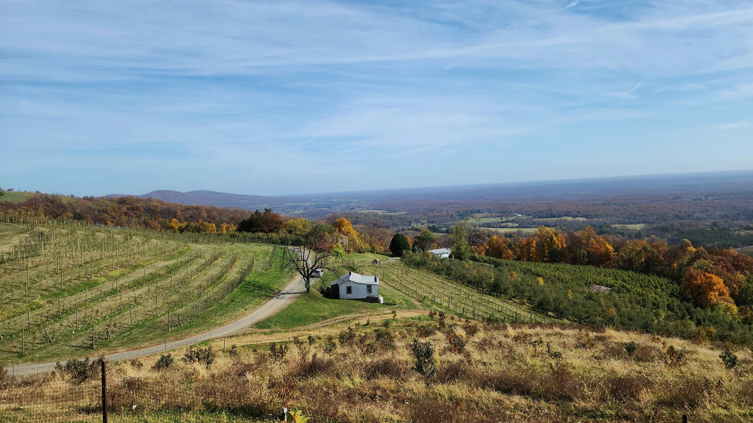 Charlottesville Fall Classic Half Marathon & 10K
