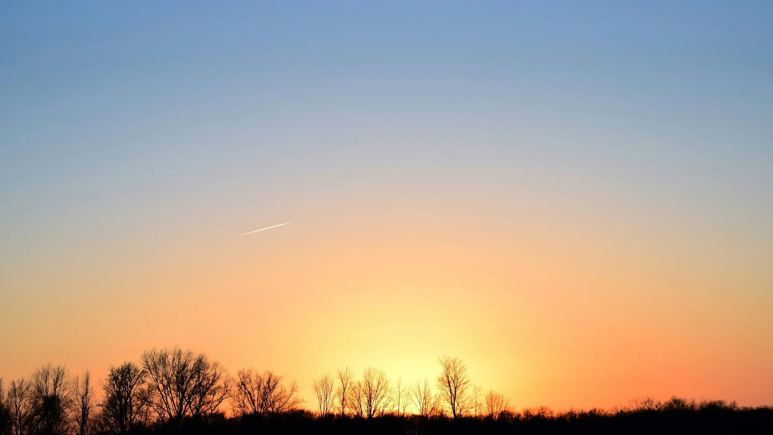 Gobble Wobble 5K Run & Walk