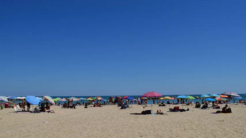 Surftown Half Marathon, Relay & 5K 2025