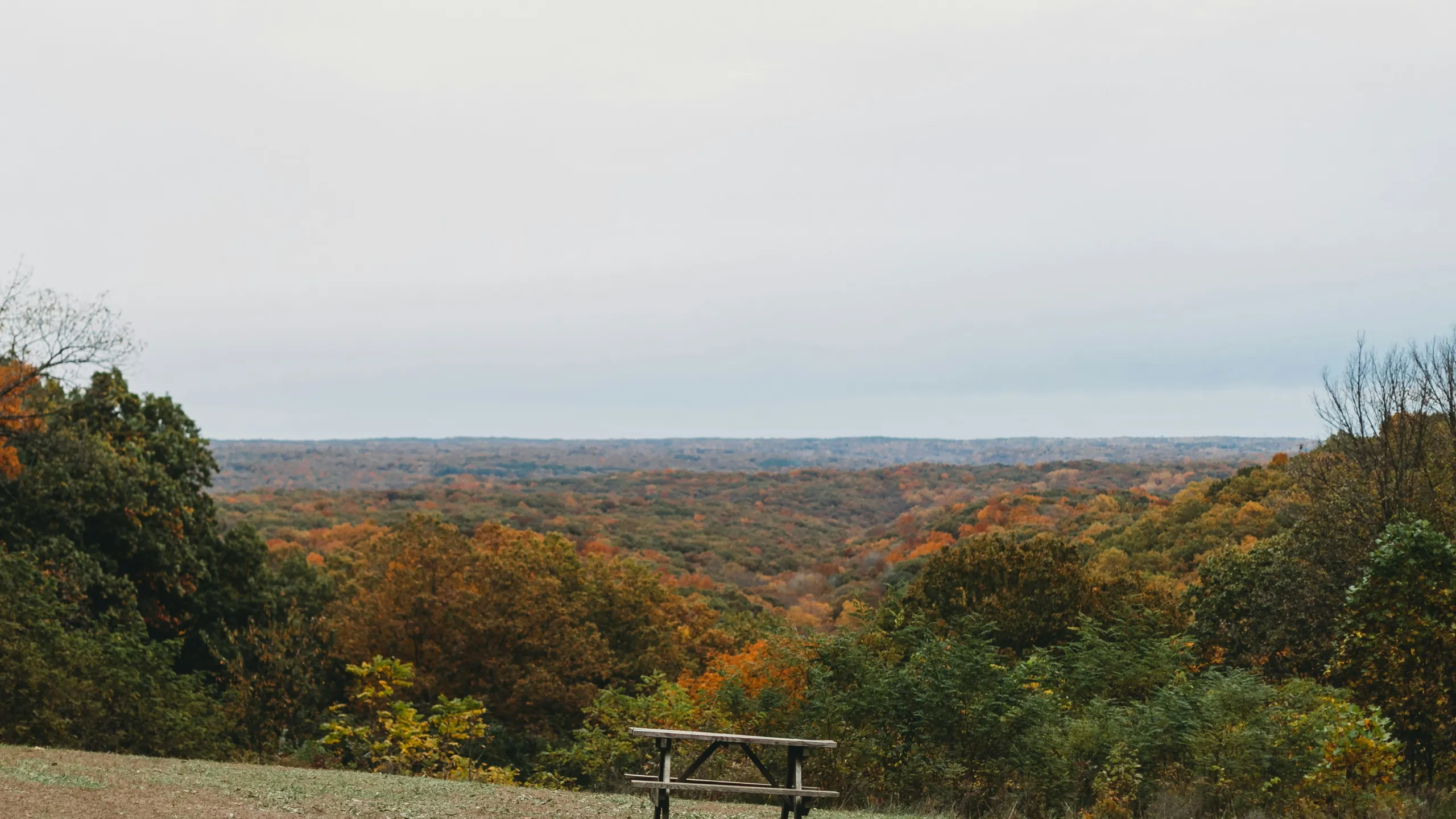 Tecumseh Trail Challenge