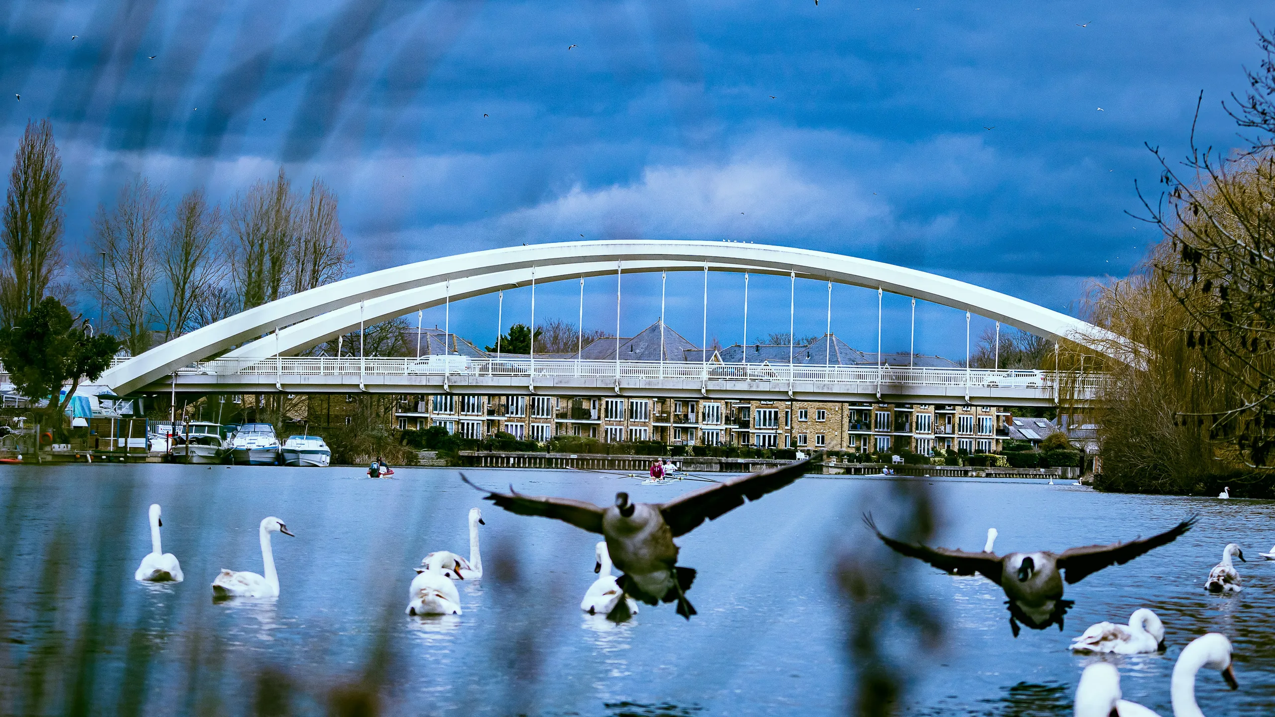 Phoenix Remembrance Day Marathon & Half