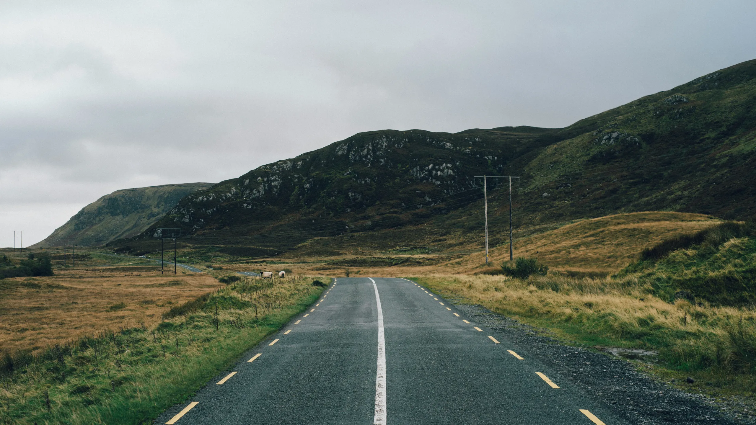 Ireland West 3/4 Marathon 10k & 5k