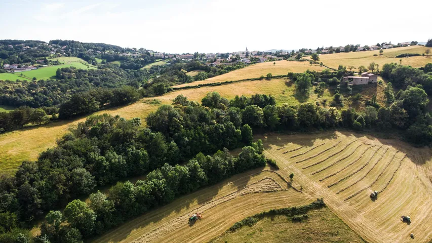Trail Hivernal des Coursières