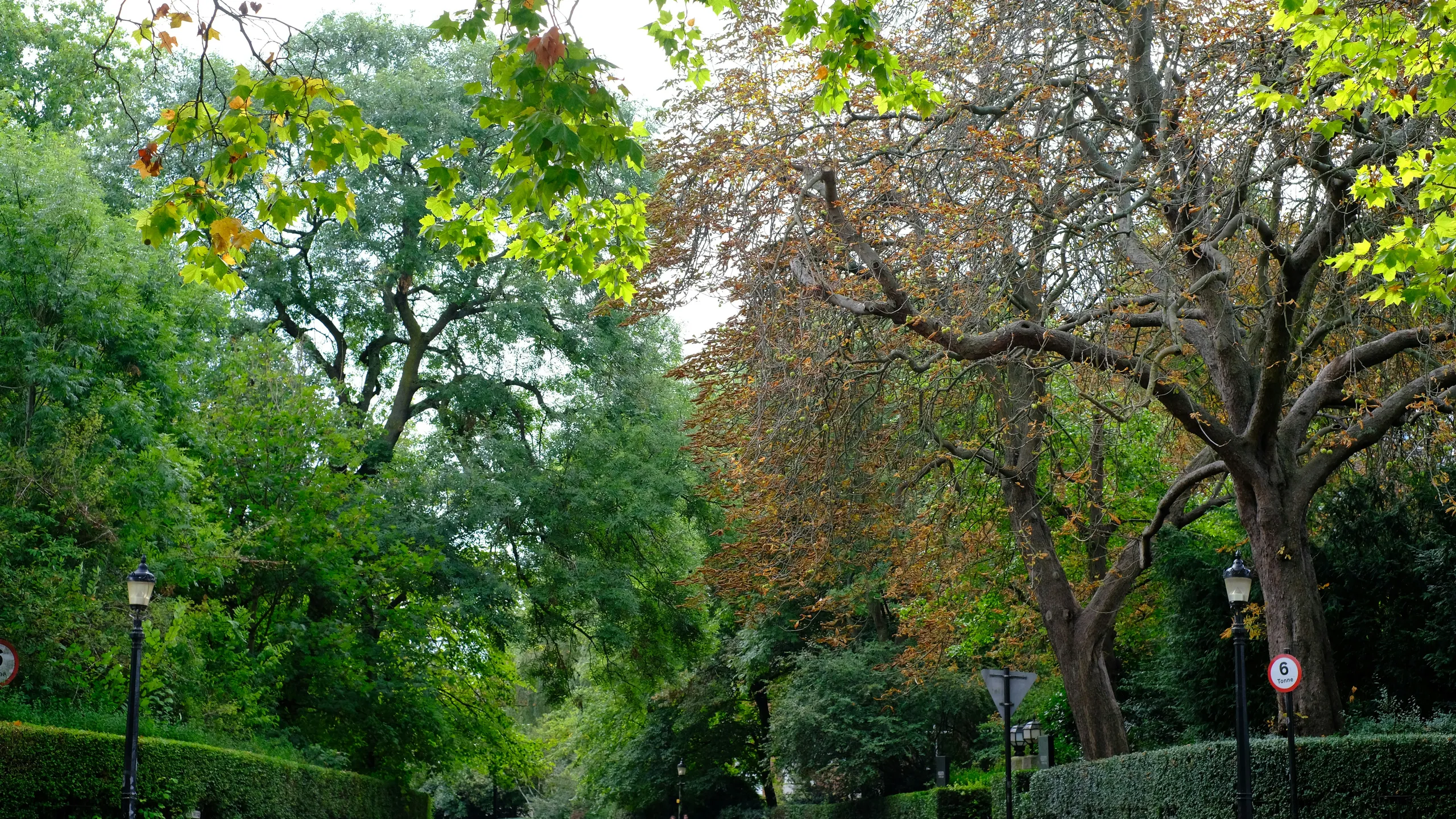 Victoria Park Half Marathon, 10k & 5k January 2026