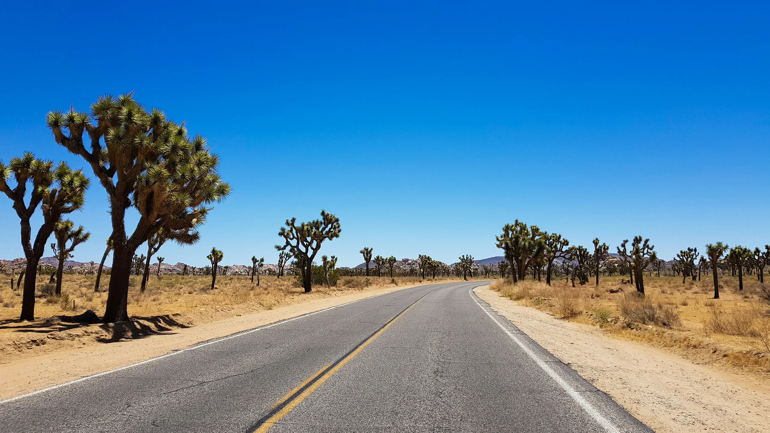Joshua Tree Half Marathon