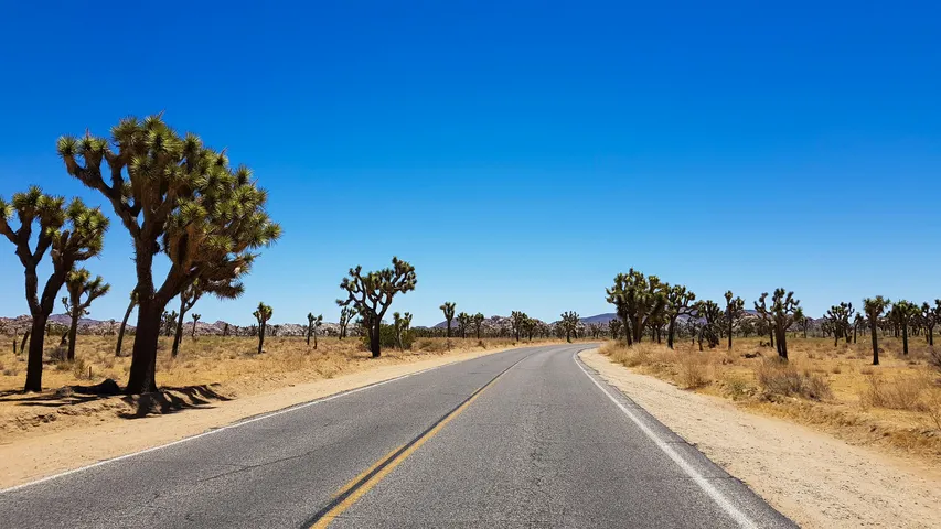 Joshua Tree Half Marathon