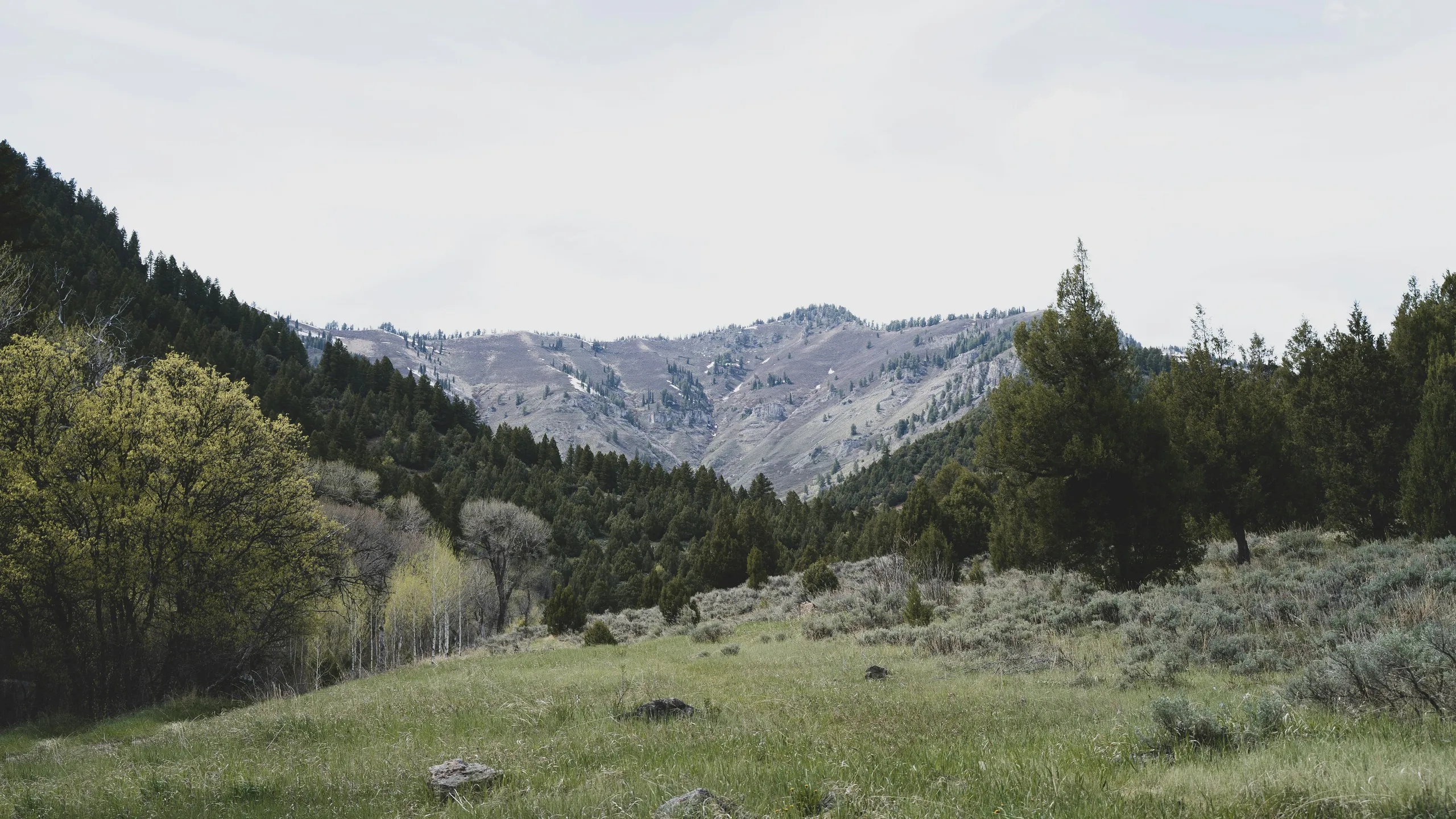 Cytiva Top of Utah Marathon