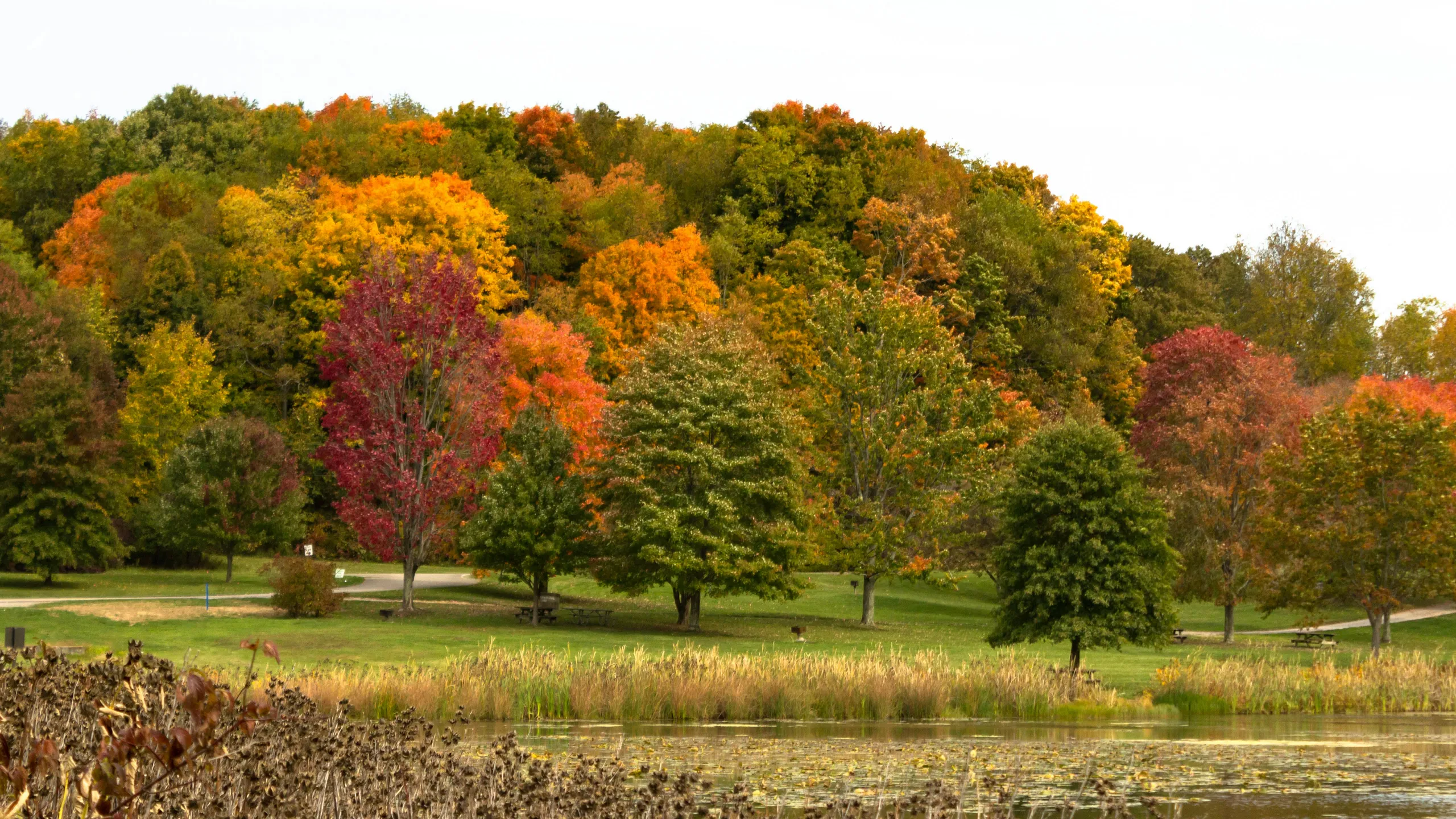 Hot-to-Trot 5K & Family Fun Run