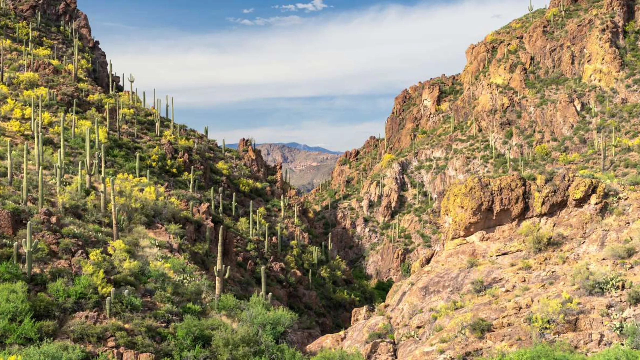 Superhero Half Marathon & Relay