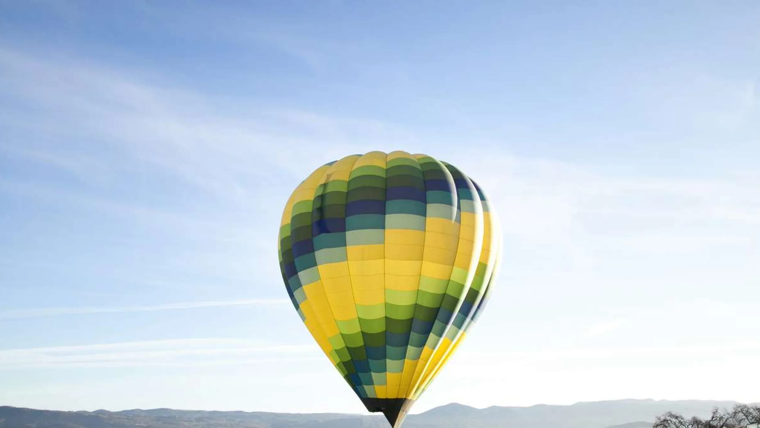 Napa Spring Half Marathon & 5k