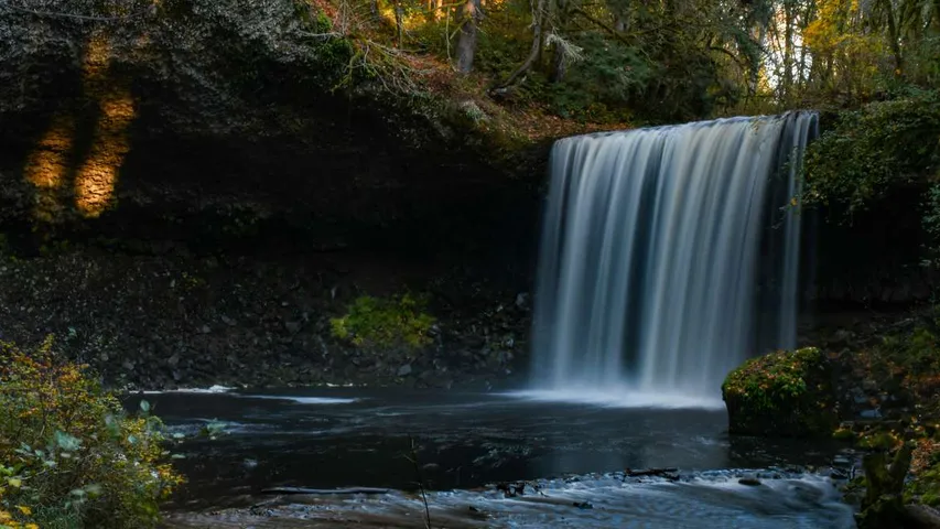 Visit Beaver County Rabid Raccoon 100