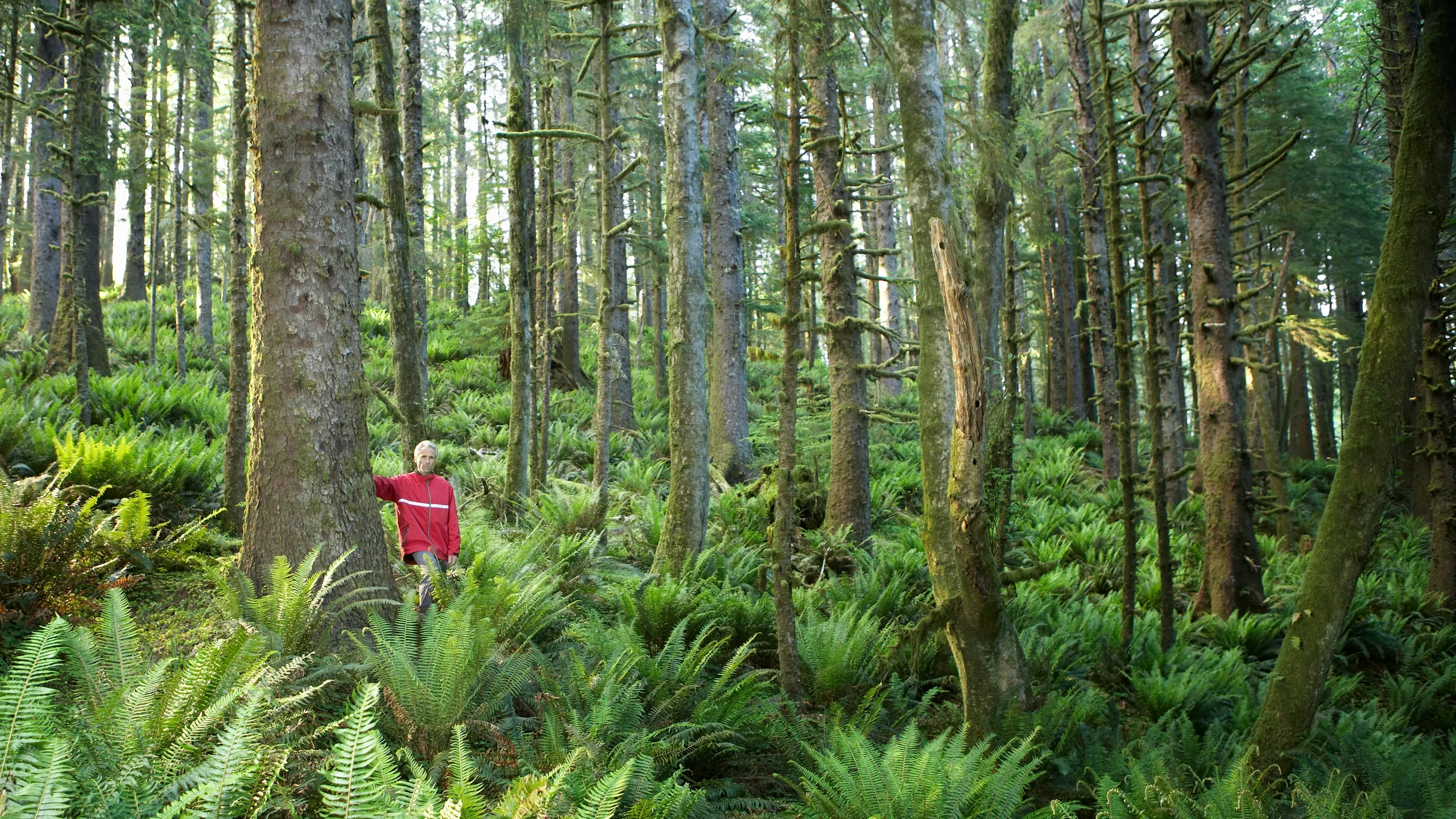 Forest of Dean Autumn Half Marathon