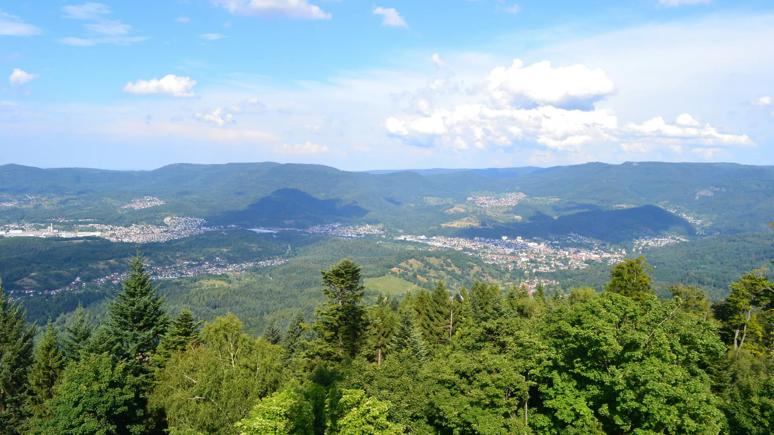 Odenwälder Herbstlauf