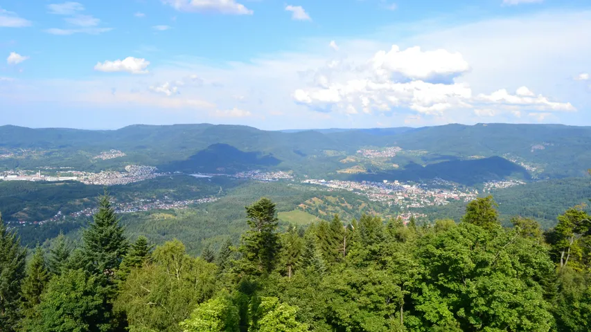 Odenwälder Herbstlauf