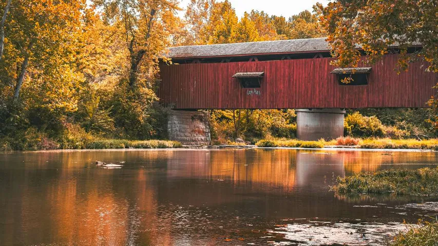 Fall Creek Falls 50K and Half Marathon Trail Runs
