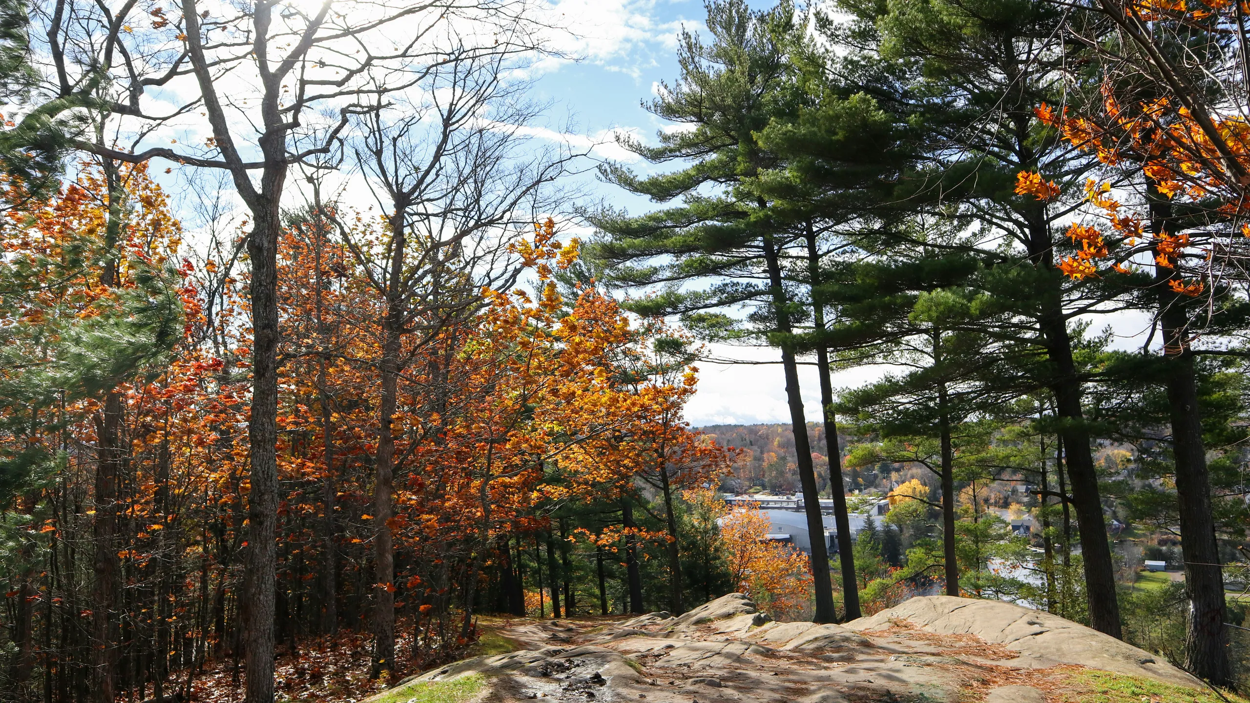 The Limberlost Challenge 2026