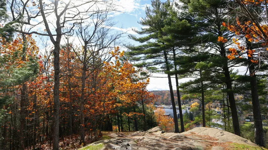 The Limberlost Challenge 2026
