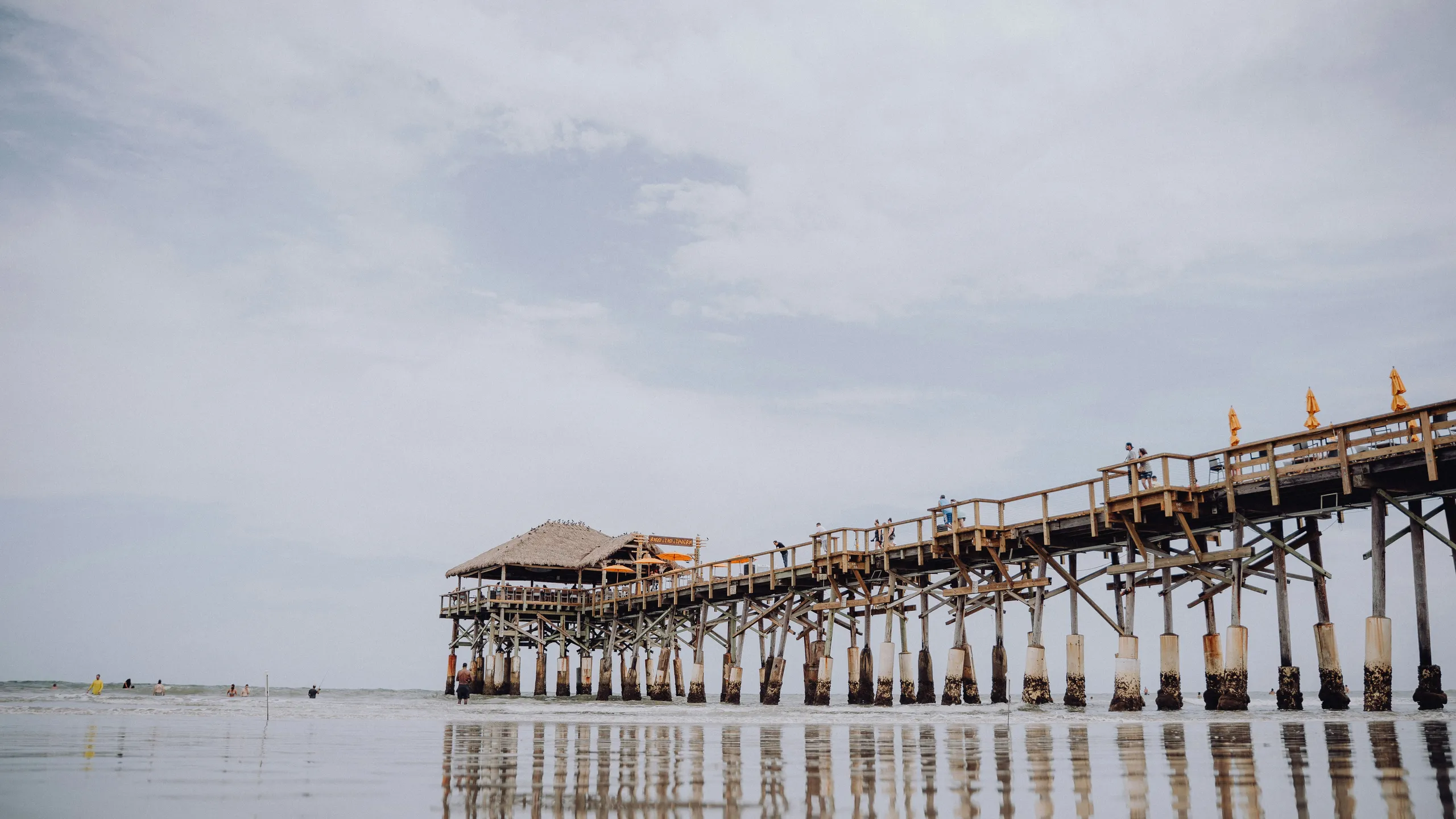Space Coast Marathon & Half Marathon