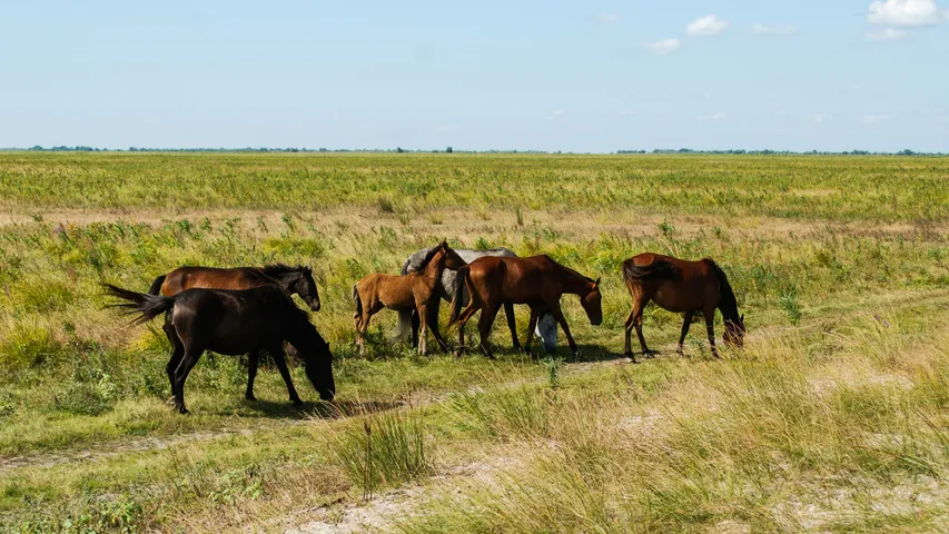 Grasslands Trail Run