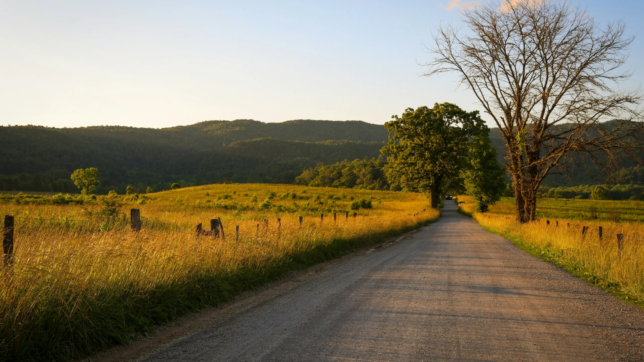 Cades Cove Loop Lope