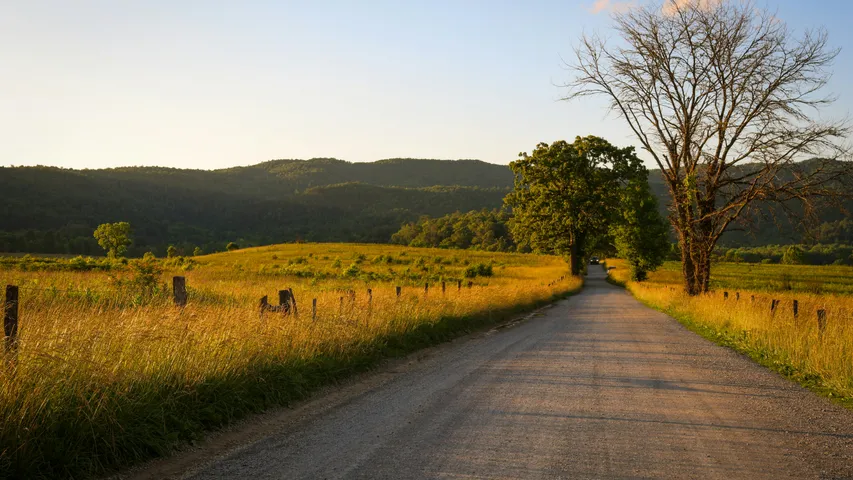 Cades Cove Loop Lope
