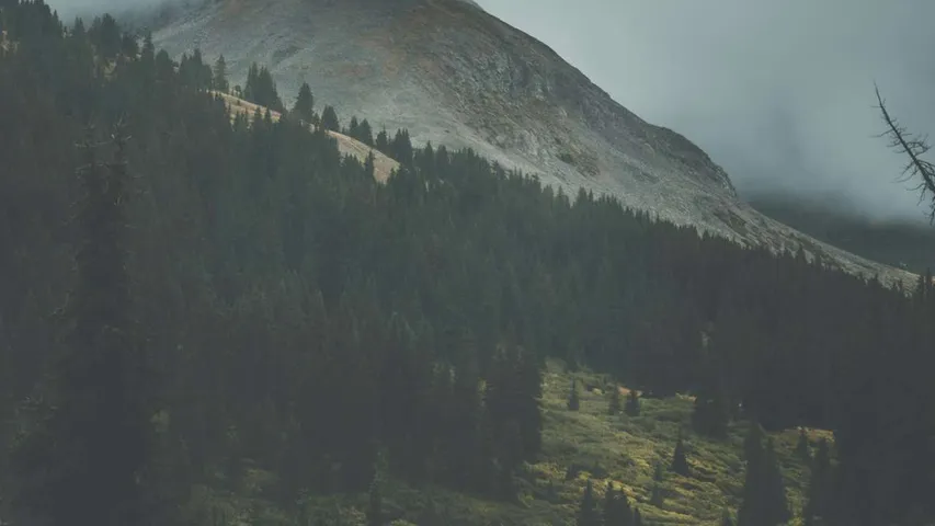 Leadville Trail 100 Run presented by La Sportiva