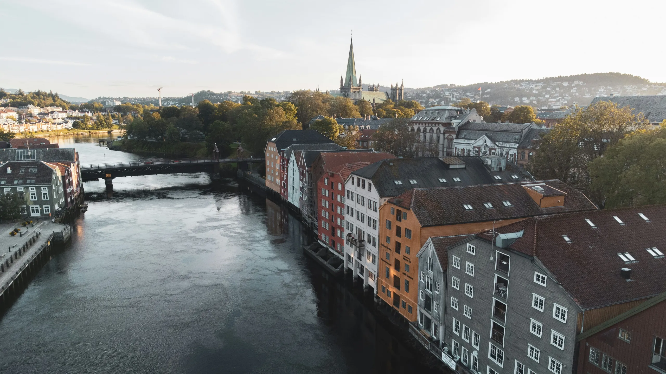 Trondheim Skogsmaraton