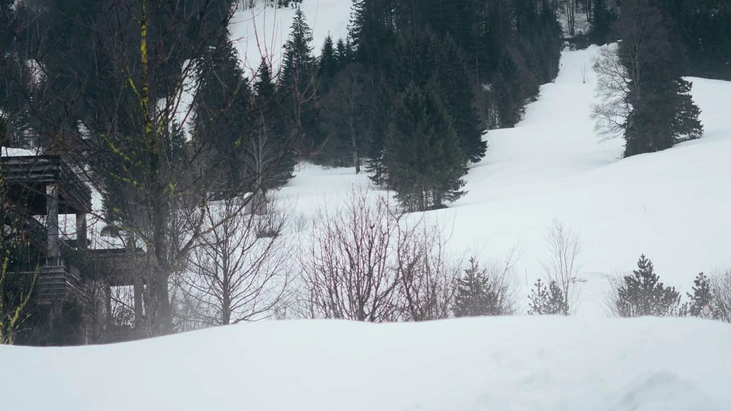 Seen-Lauf Tannheimer Tal