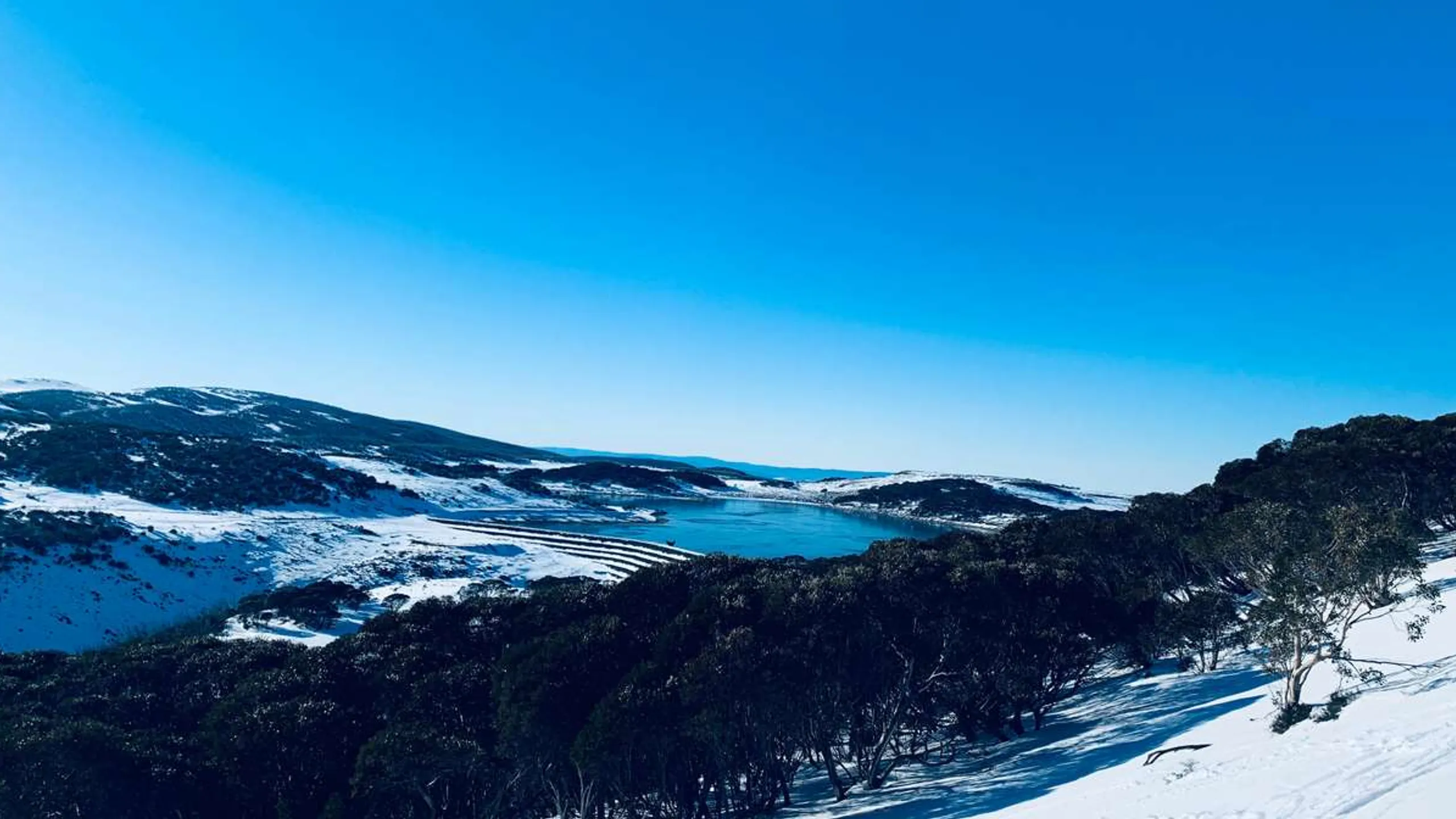 Alpine Challenge