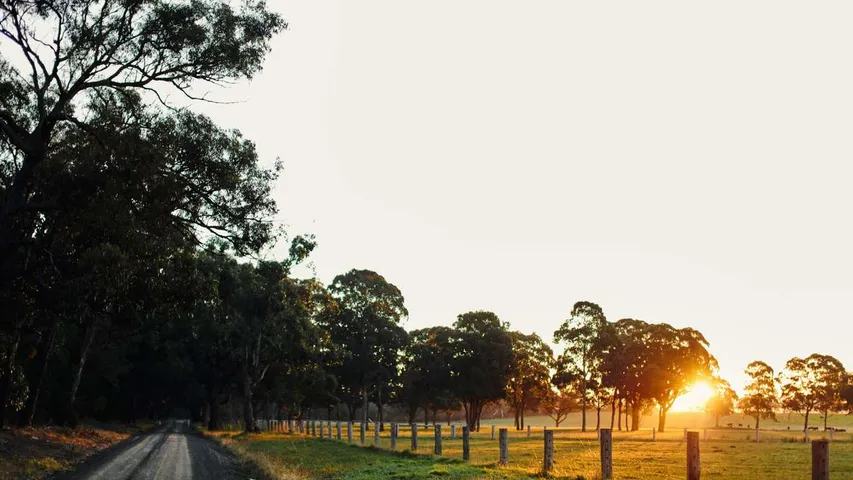 Traralgon Marathon & Running Festival