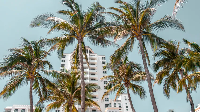 Life Time Miami Marathon & Half 2026
