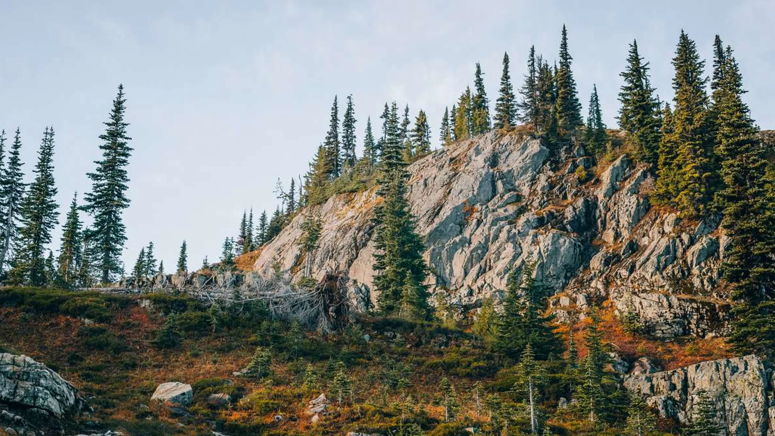 Red River Gorge Ultra