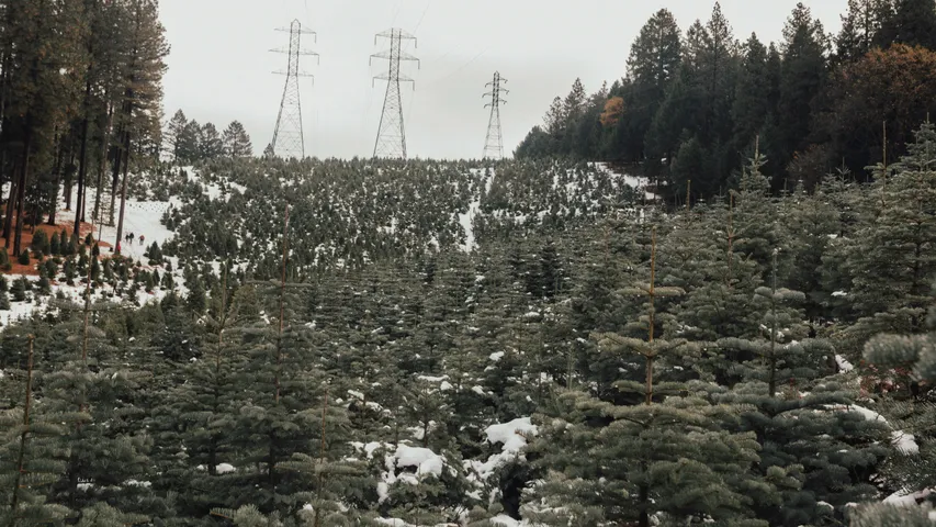 Placerville’s Holiday Jingle & Mingle Run
