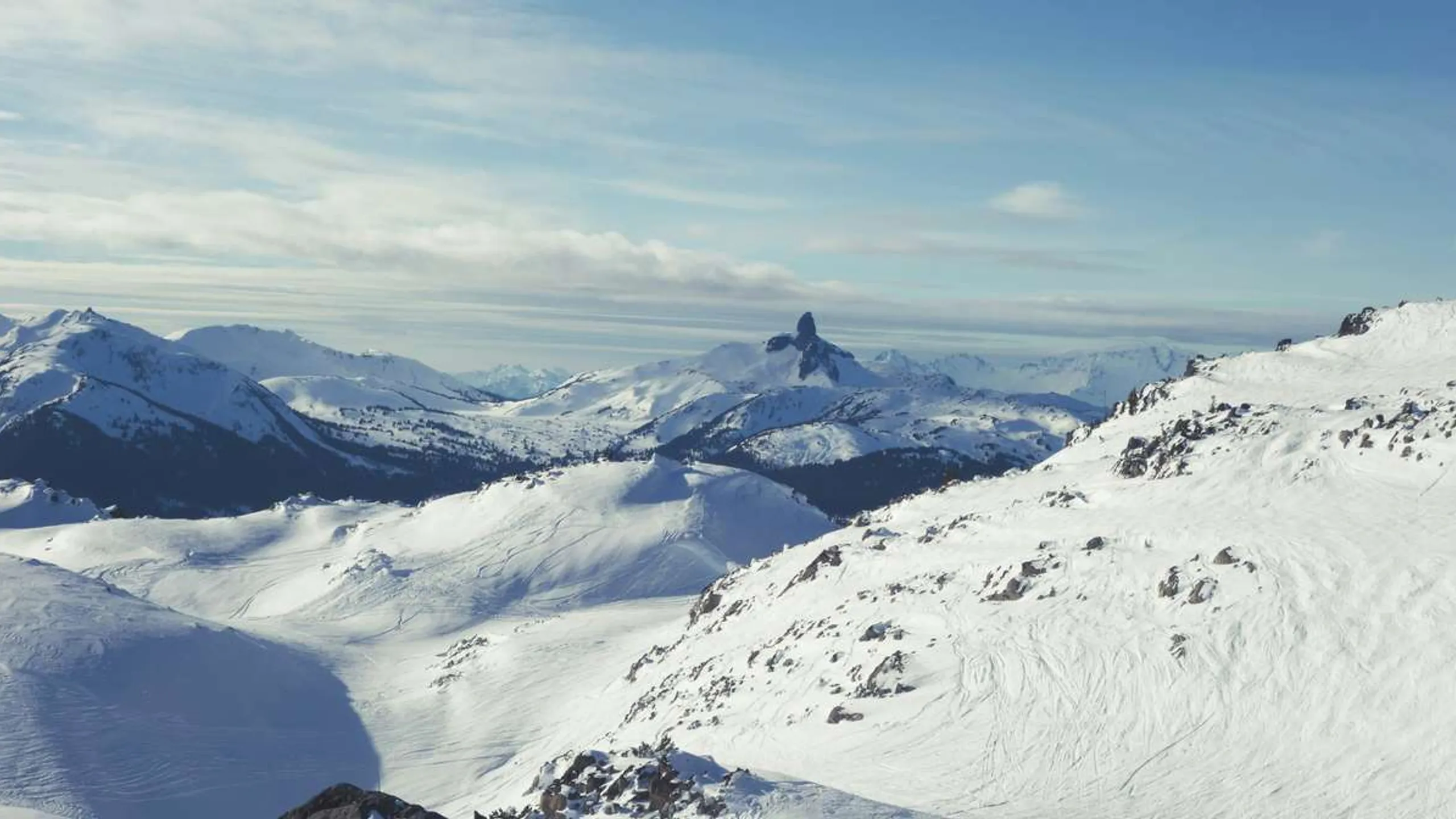 The BlueShore Financial Whistler Half Marathon ​presented by Salomon