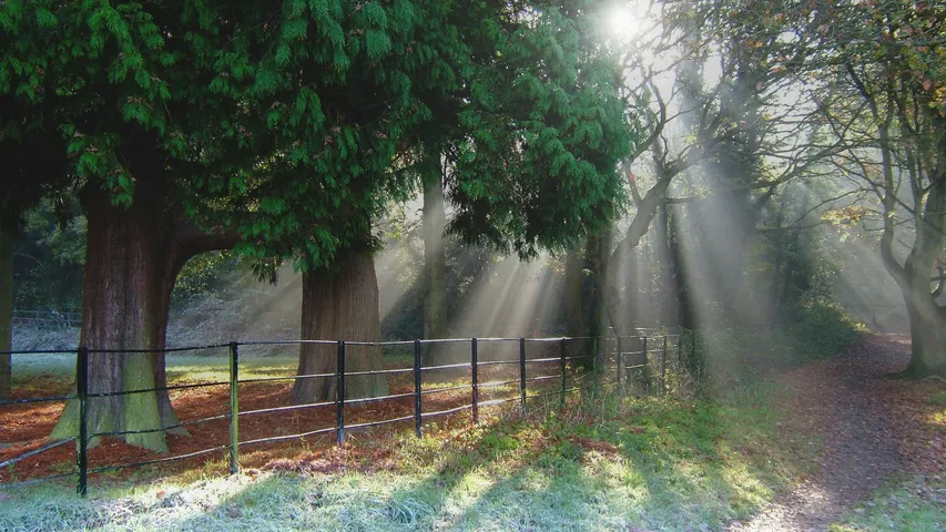 Bright Skies Surrey Hills 2025
