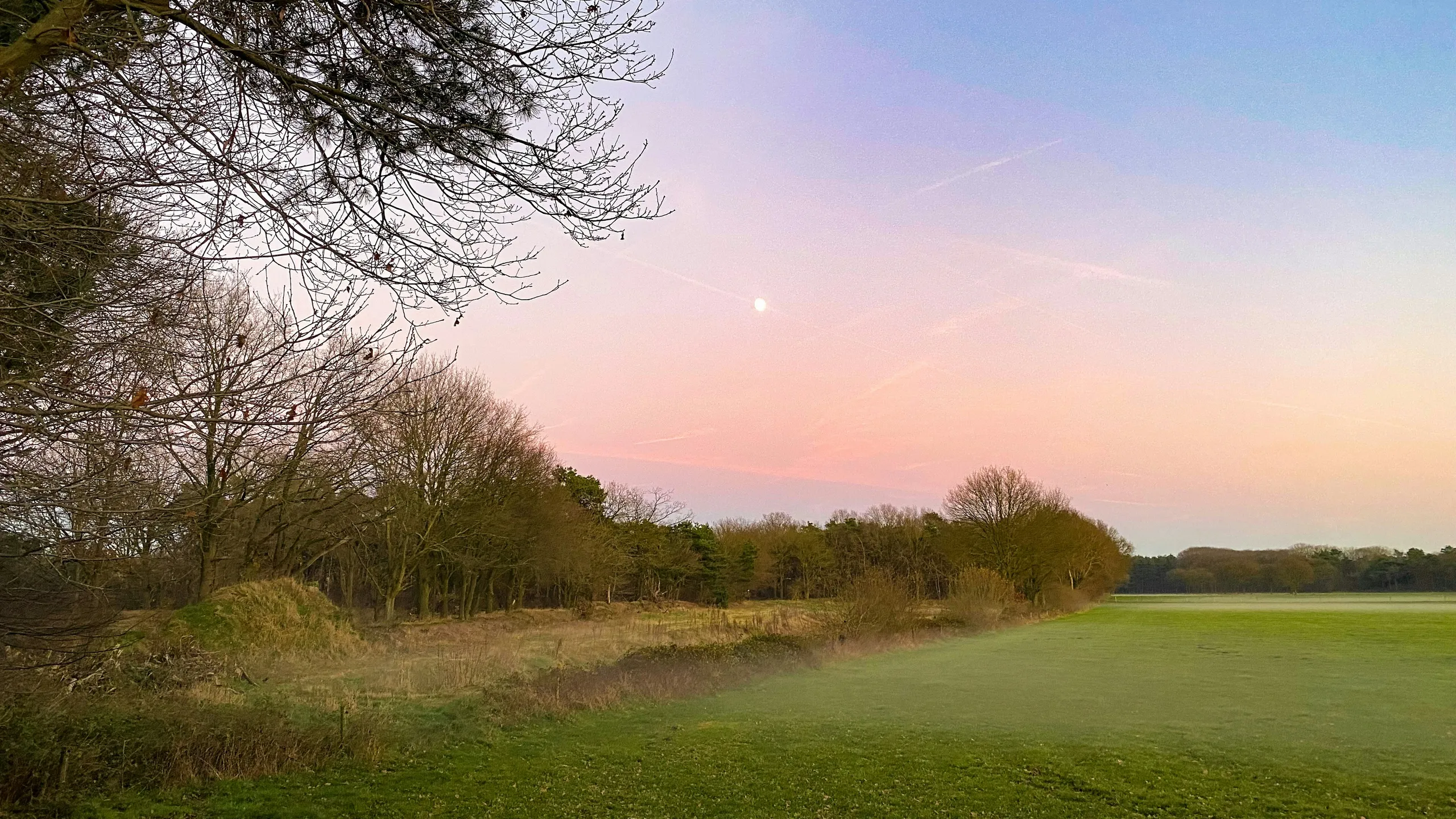 Alphense Bergen Trail