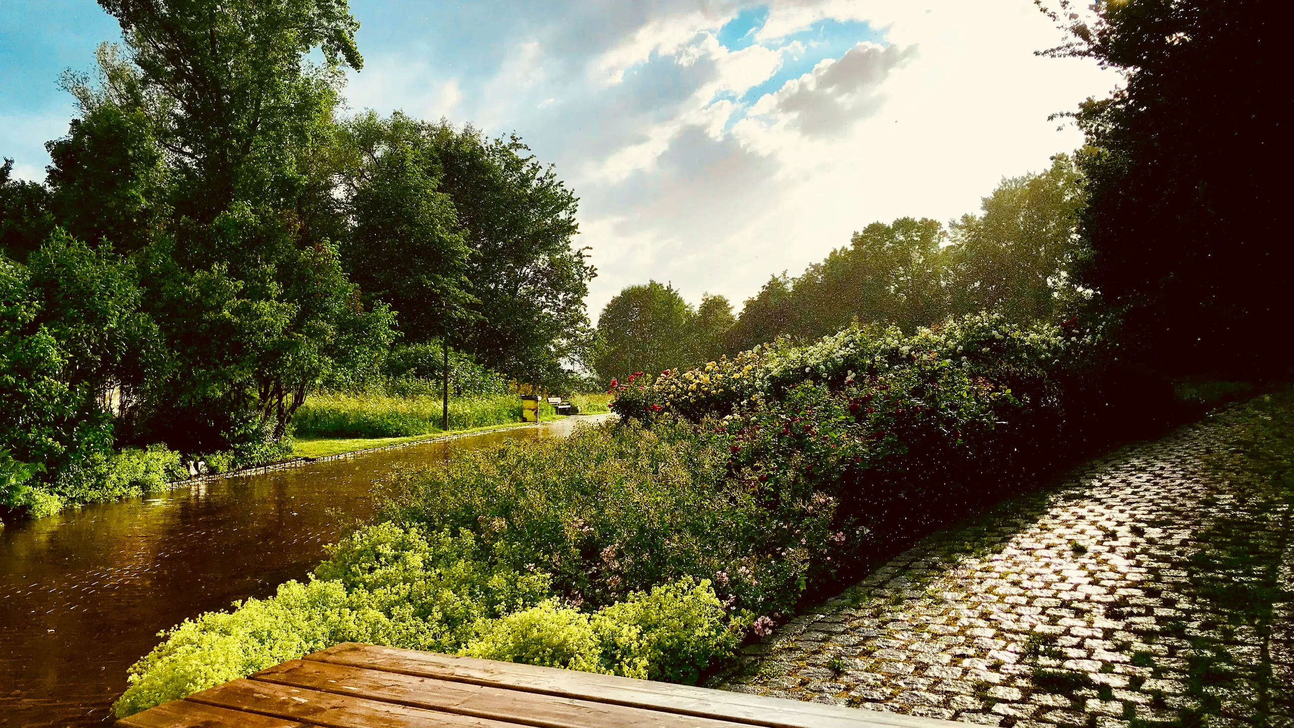 Hammer Sparkassen-Winterlaufserie