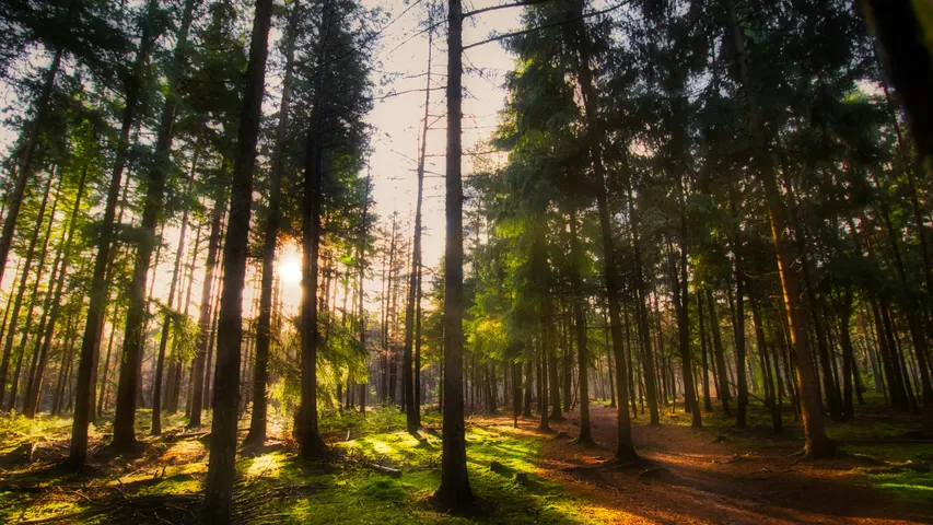 Salland Zorgverzekeringen & Flynth Diepe Hel Holterbergloop