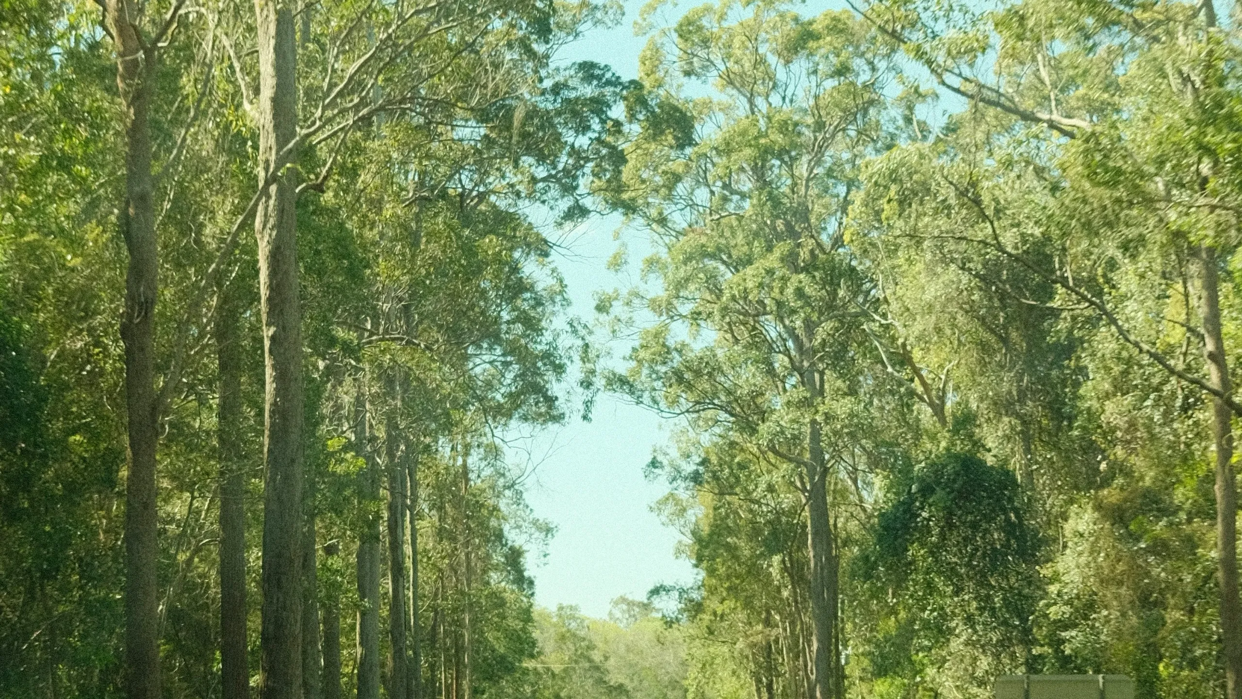 Weipa Running Festival 2025